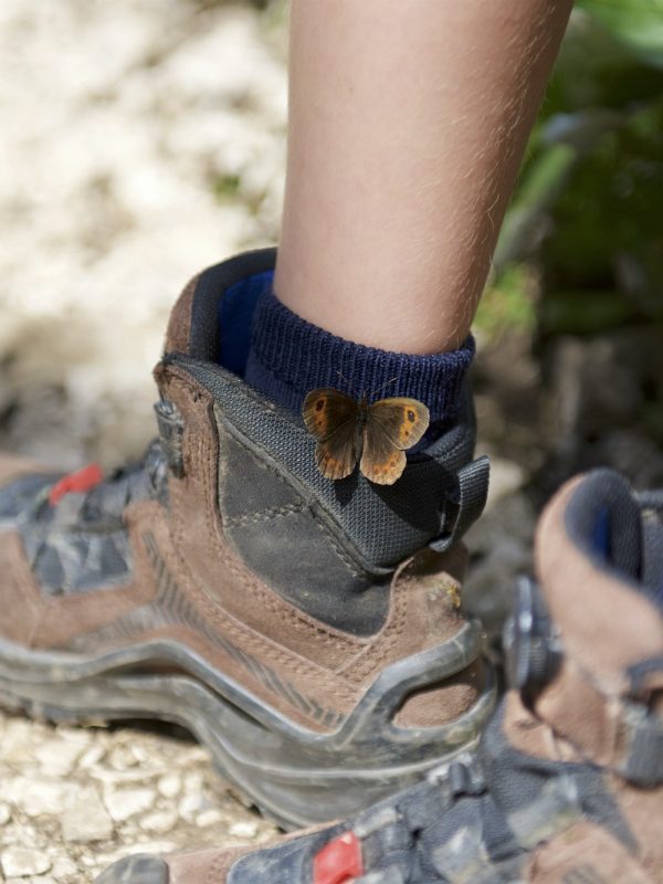 Butterfly Meadow Brown on boy's hiking shoe